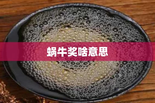 蜗牛奖啥意思