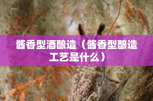 酱香型酒酿造（酱香型酿造工艺是什么）