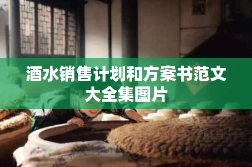 酒水销售计划和方案书范文大全集图片