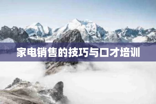 家电销售的技巧与口才培训