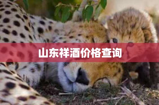 山东祥酒价格查询