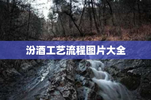 汾酒工艺流程图片大全