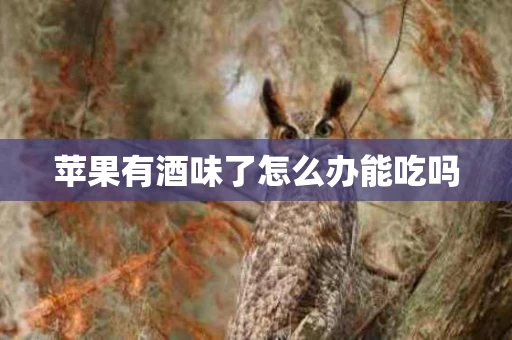 苹果有酒味了怎么办能吃吗