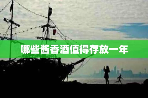 哪些酱香酒值得存放一年