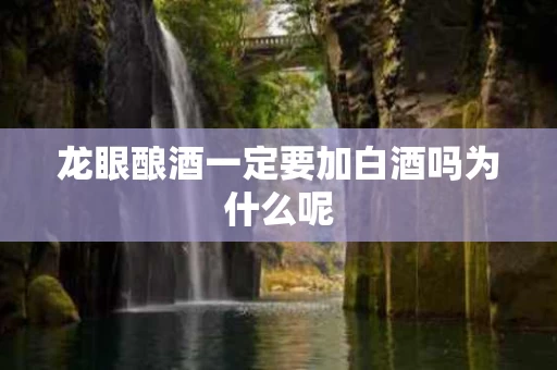 龙眼酿酒一定要加白酒吗为什么呢