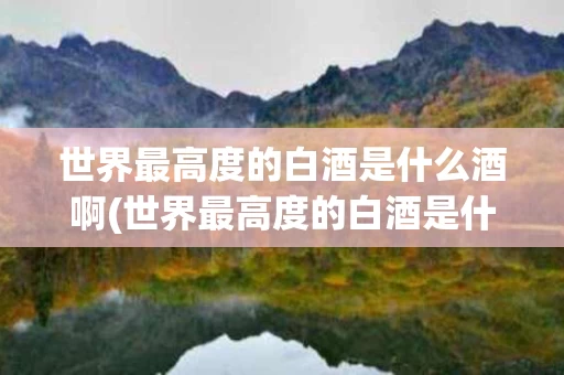 世界最高度的白酒是什么酒啊(世界最高度的白酒是什么酒啊图片)