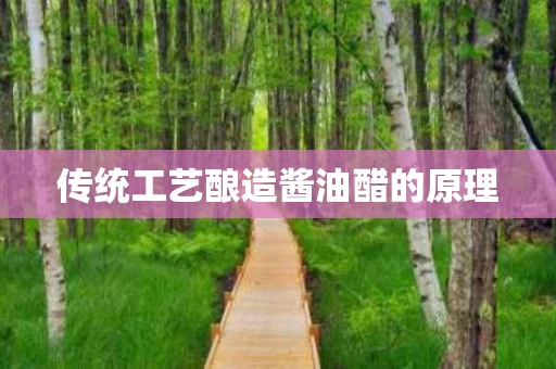 传统工艺酿造酱油醋的原理
