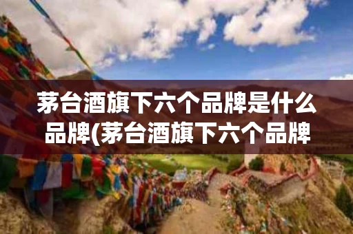 茅台酒旗下六个品牌是什么品牌(茅台酒旗下六个品牌是什么品牌图片)