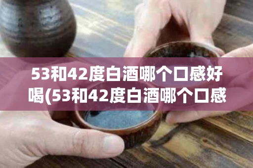 53和42度白酒哪个口感好喝(53和42度白酒哪个口感好喝一点)