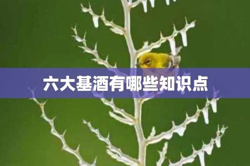 六大基酒有哪些知识点