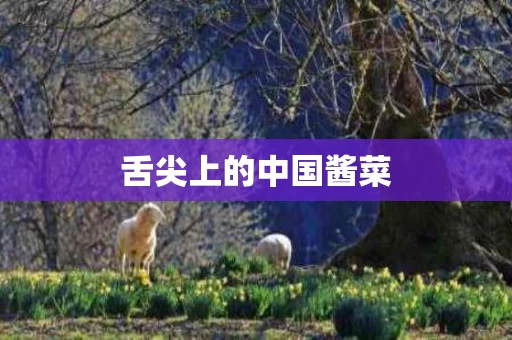 舌尖上的中国酱菜