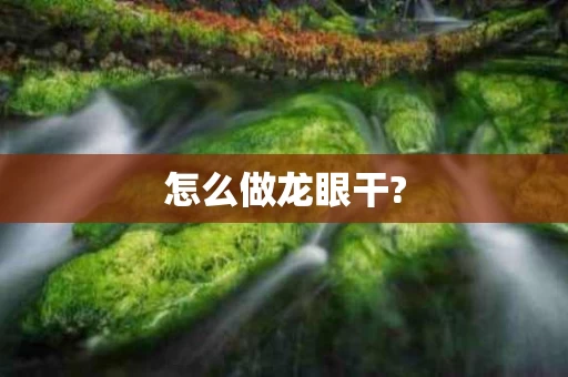 怎么做龙眼干?