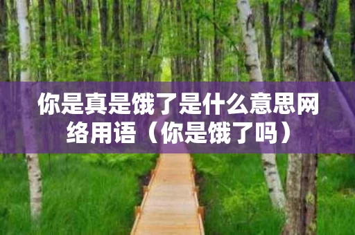 你是真是饿了是什么意思网络用语（你是饿了吗）