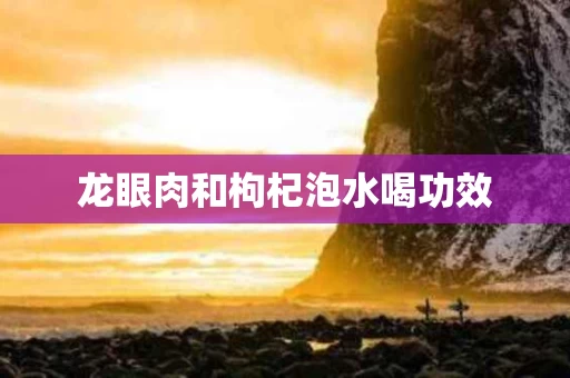 龙眼肉和枸杞泡水喝功效
