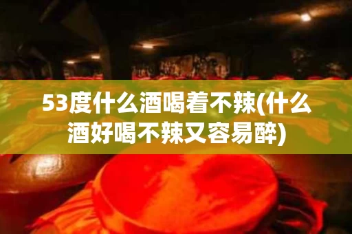 53度什么酒喝着不辣(什么酒好喝不辣又容易醉)