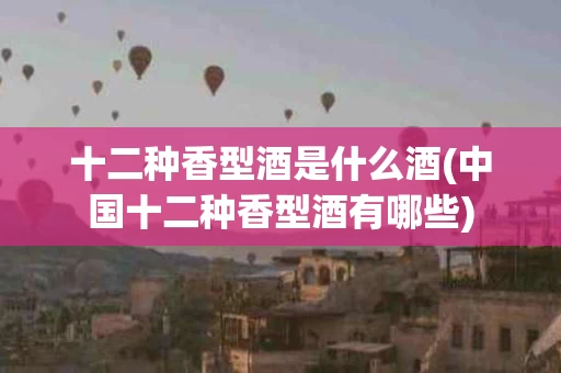十二种香型酒是什么酒(中国十二种香型酒有哪些)
