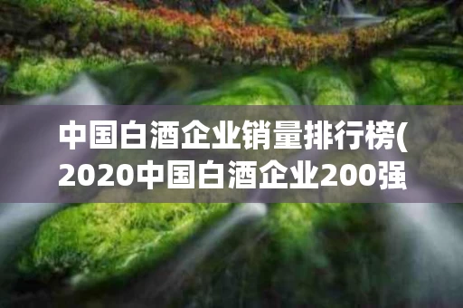 中国白酒企业销量排行榜(2020中国白酒企业200强) 中国白酒企业销量排行榜(2020中国白酒企业200强)