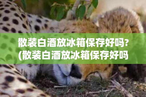 散装白酒放冰箱保存好吗?(散装白酒放冰箱保存好吗多久)