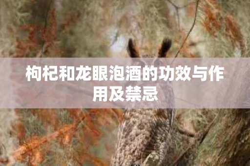 枸杞和龙眼泡酒的功效与作用及禁忌