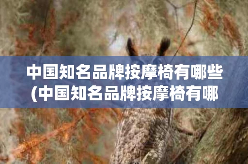 中国知名品牌按摩椅有哪些(中国知名品牌按摩椅有哪些牌子)