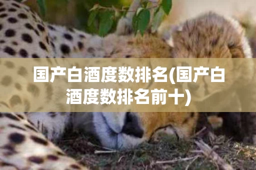 国产白酒度数排名(国产白酒度数排名前十)