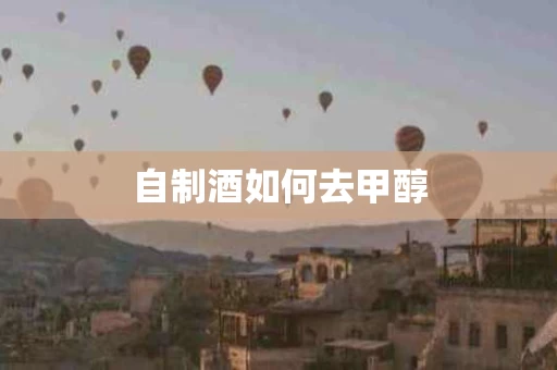自制酒如何去甲醇