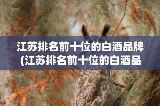 江苏排名前十位的白酒品牌(江苏排名前十位的白酒品牌?)