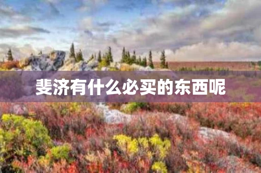 斐济有什么必买的东西呢