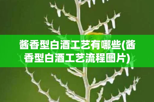 酱香型白酒工艺有哪些(酱香型白酒工艺流程图片)