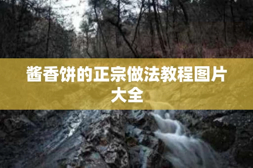 酱香饼的正宗做法教程图片大全