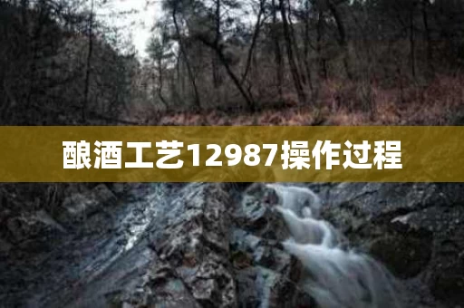 酿酒工艺12987操作过程