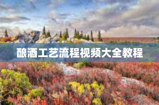 酿酒工艺流程视频大全教程