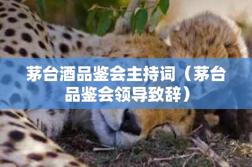 茅台酒品鉴会主持词（茅台品鉴会领导致辞）