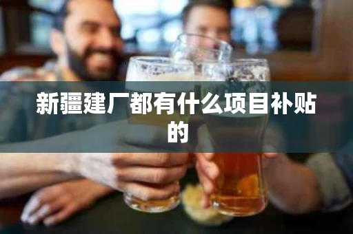 新疆建厂都有什么项目补贴的