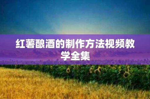 红薯酿酒的制作方法视频教学全集