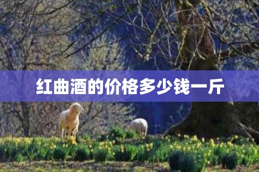 红曲酒的价格多少钱一斤
