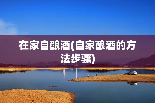 在家自酿酒(自家酿酒的方法步骤)