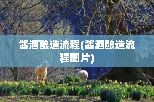 酱酒酿造流程(酱酒酿造流程图片)