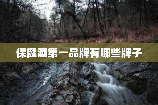 保健酒第一品牌有哪些牌子