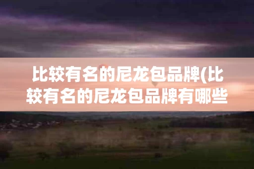 比较有名的尼龙包品牌(比较有名的尼龙包品牌有哪些)