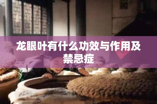 龙眼叶有什么功效与作用及禁忌症