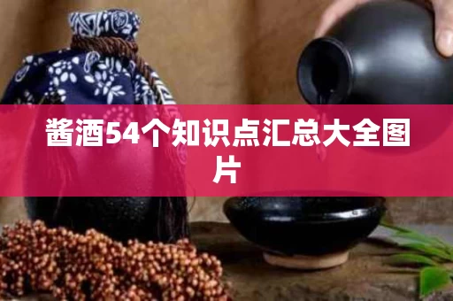 酱酒54个知识点汇总大全图片