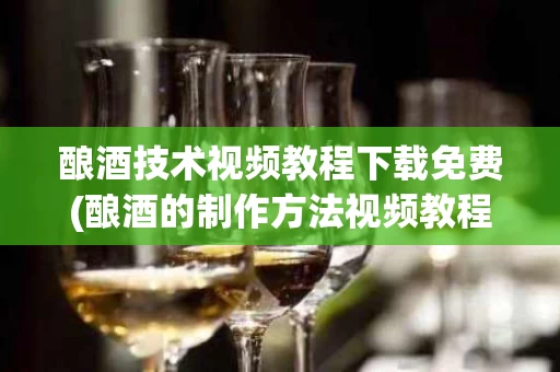 酿酒技术视频教程下载免费(酿酒的制作方法视频教程)