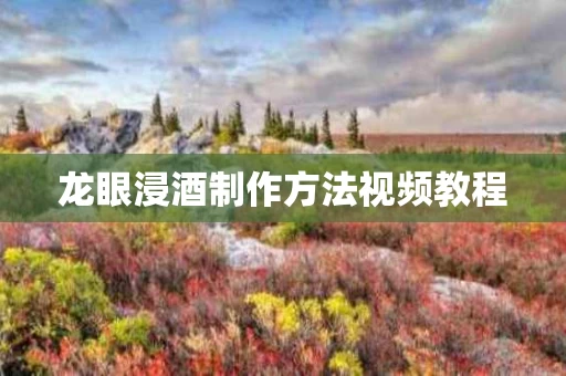龙眼浸酒制作方法视频教程