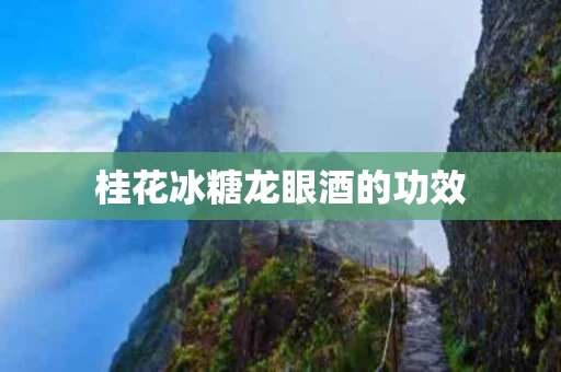 桂花冰糖龙眼酒的功效 桂花冰糖龙眼酒的功效