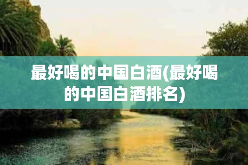 最好喝的中国白酒(最好喝的中国白酒排名)