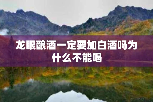 龙眼酿酒一定要加白酒吗为什么不能喝
