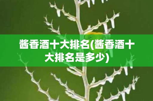 酱香酒十大排名(酱香酒十大排名是多少)