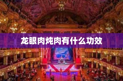 龙眼肉炖肉有什么功效