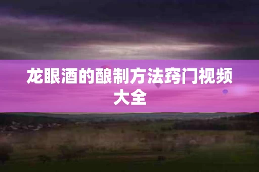 龙眼酒的酿制方法窍门视频大全